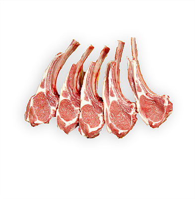 Lamb