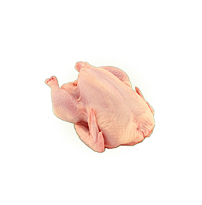 Chicken Breast
